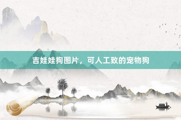 吉娃娃狗图片，可人工致的宠物狗
