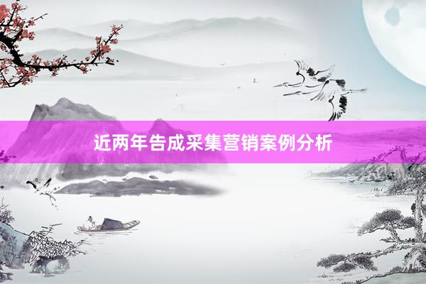 近两年告成采集营销案例分析